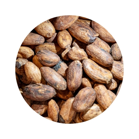 Semillas de cacao Bio